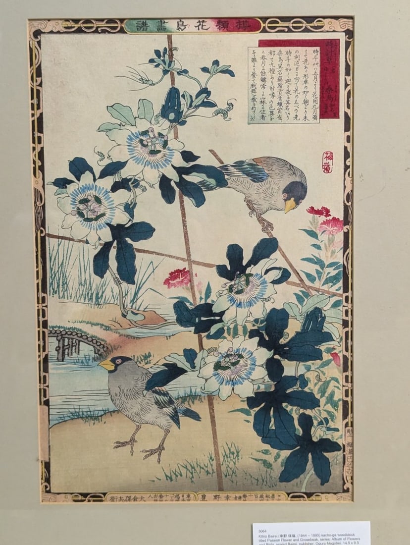 Kono Bairei Japanese Woodblock Print Passion Flower and Grosbeak - 2