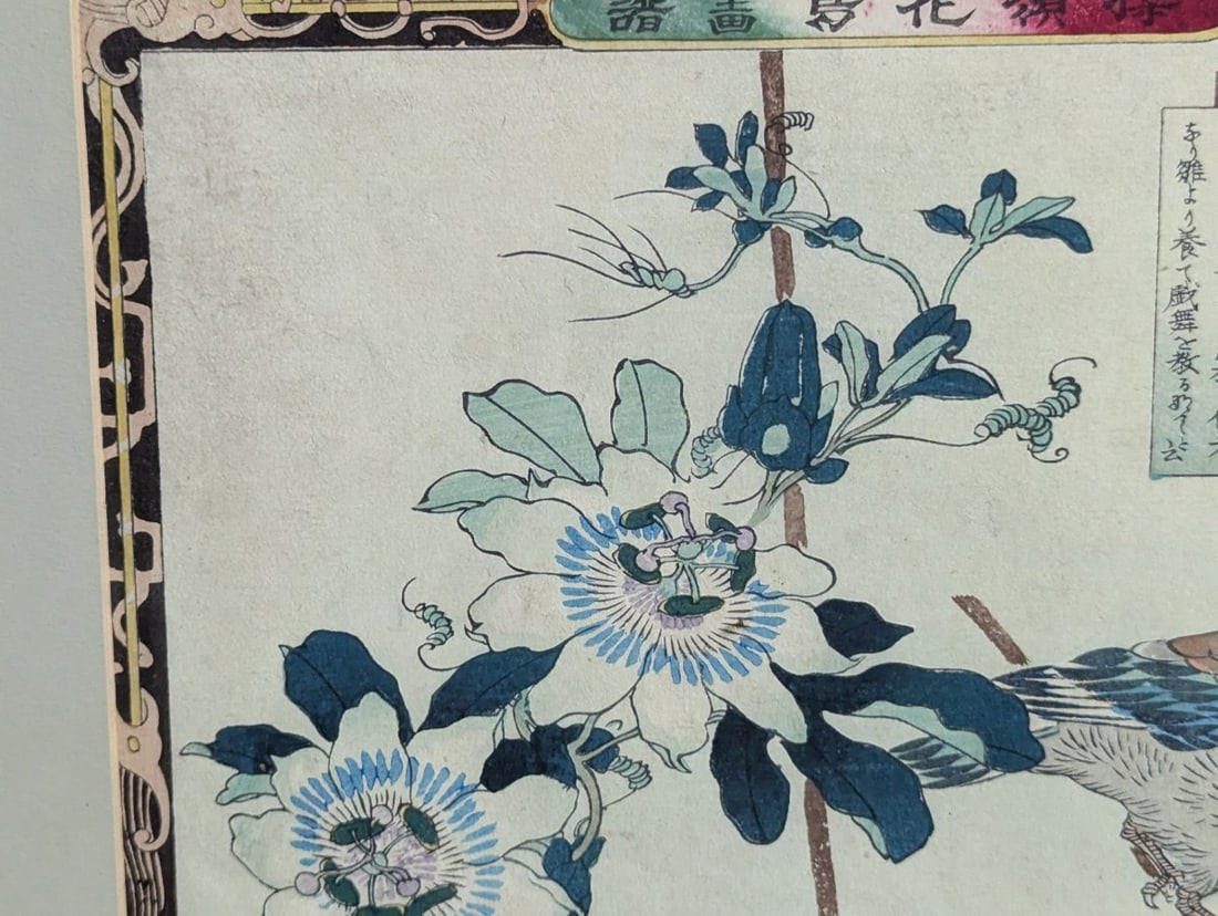 Kono Bairei Japanese Woodblock Print Passion Flower and Grosbeak - 3