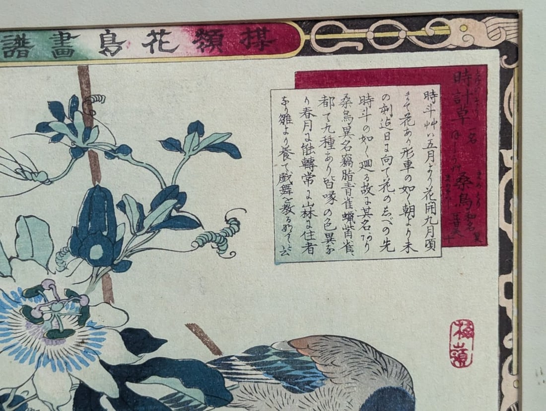 Kono Bairei Japanese Woodblock Print Passion Flower and Grosbeak - 4