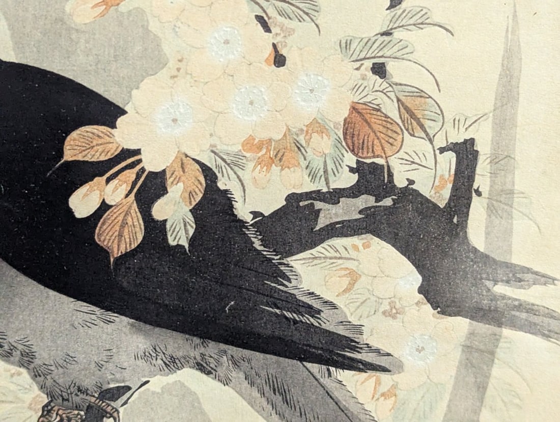 Japanese Woodblock Print by Nomura Bunkyo (Sekisen), Crow on a Flowering Branch - 6