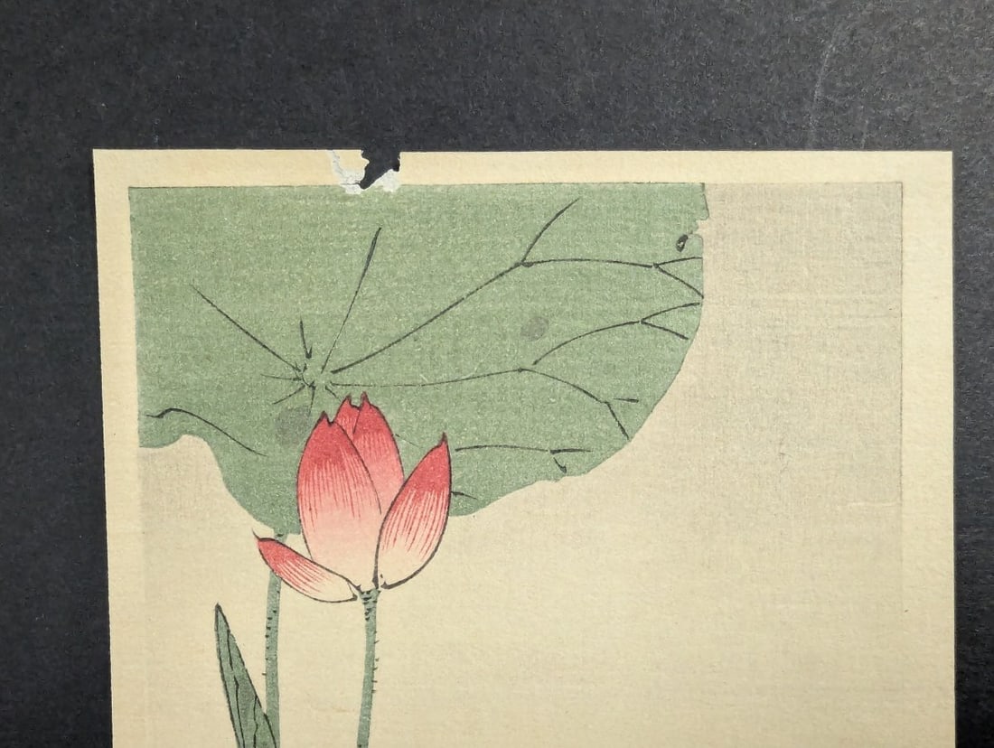 Kono Bairei Japanese Woodblock Print - Egret and Lotus - Stunning Artwork - 2