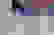 item-82284572=3
