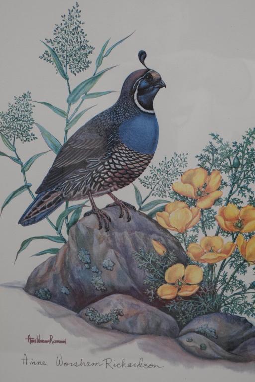 Anne Worsham Richardson Signed Bird Print (1 of 3)
