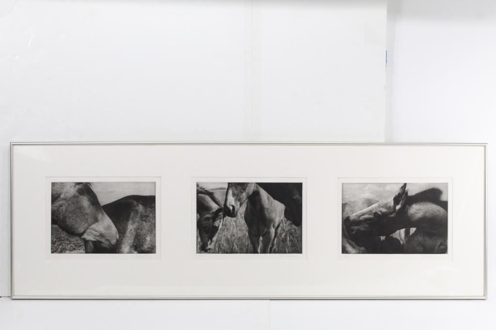 Gerald Lang Photographic Triptych, Horses (1 of 7)