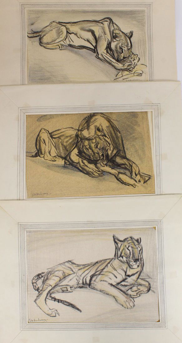 Elsie Henderson (1880-1967) 3 Signed Drawings,Lion: 3 signed drawings of big cats including one titled "Wounded Lion" on attached note by British artist Elsie Henderson, signed and matted by the artist. Henderson exhibited at the Royal Academy.The Tate