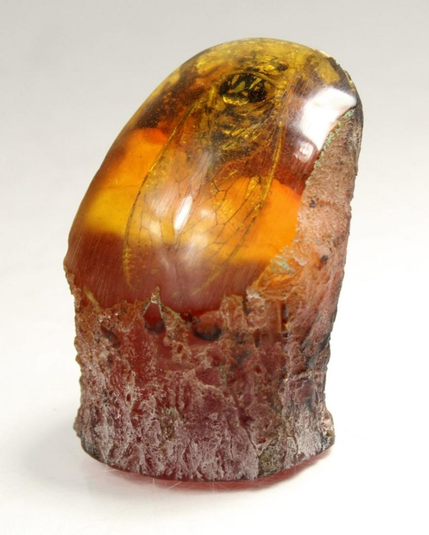 Cicada Encased Molded Processed Amber (1 of 7)
