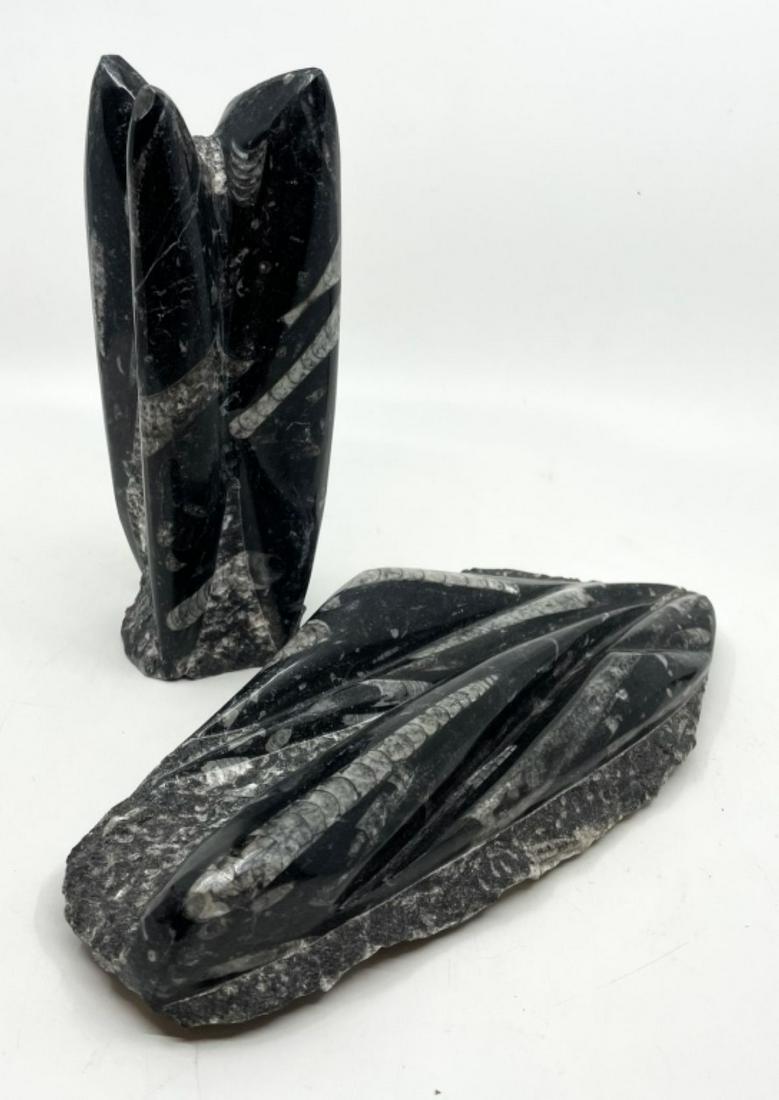 2pc Polished Fossilized Orthoceras Specimens (1 of 7)
