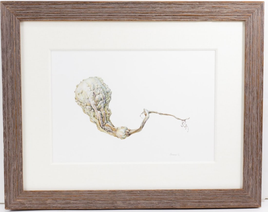 Jean Emmons (WA) Original Watercolor On Paper: Jean Emmons (WA) 2007 Original Watercolor on paper titled "Gourd" or "Cucurbita pepo" , signed on lower right. Very good condition, unexamined out of frame, textured brown wood frame with linen mat. F