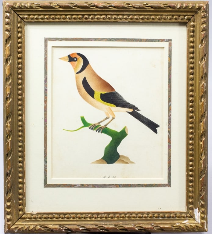 18th Century Watercolor European Goldfinch Bird (1 of 4)