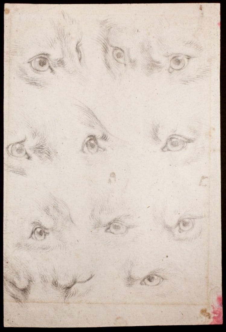 Antique Artist Drawing of Wolf Eyes (1 of 6)