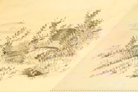 James Ward Att. Pencil Wash Sketch Deer in meadow: James Ward attributed (English 1769 - 1859) original pencil wash sketch of deer in meadow. Unsigned. Toning, 7"x 10.25". From the estate of Robert Goodwin, Colgate University Professor, longtime colle