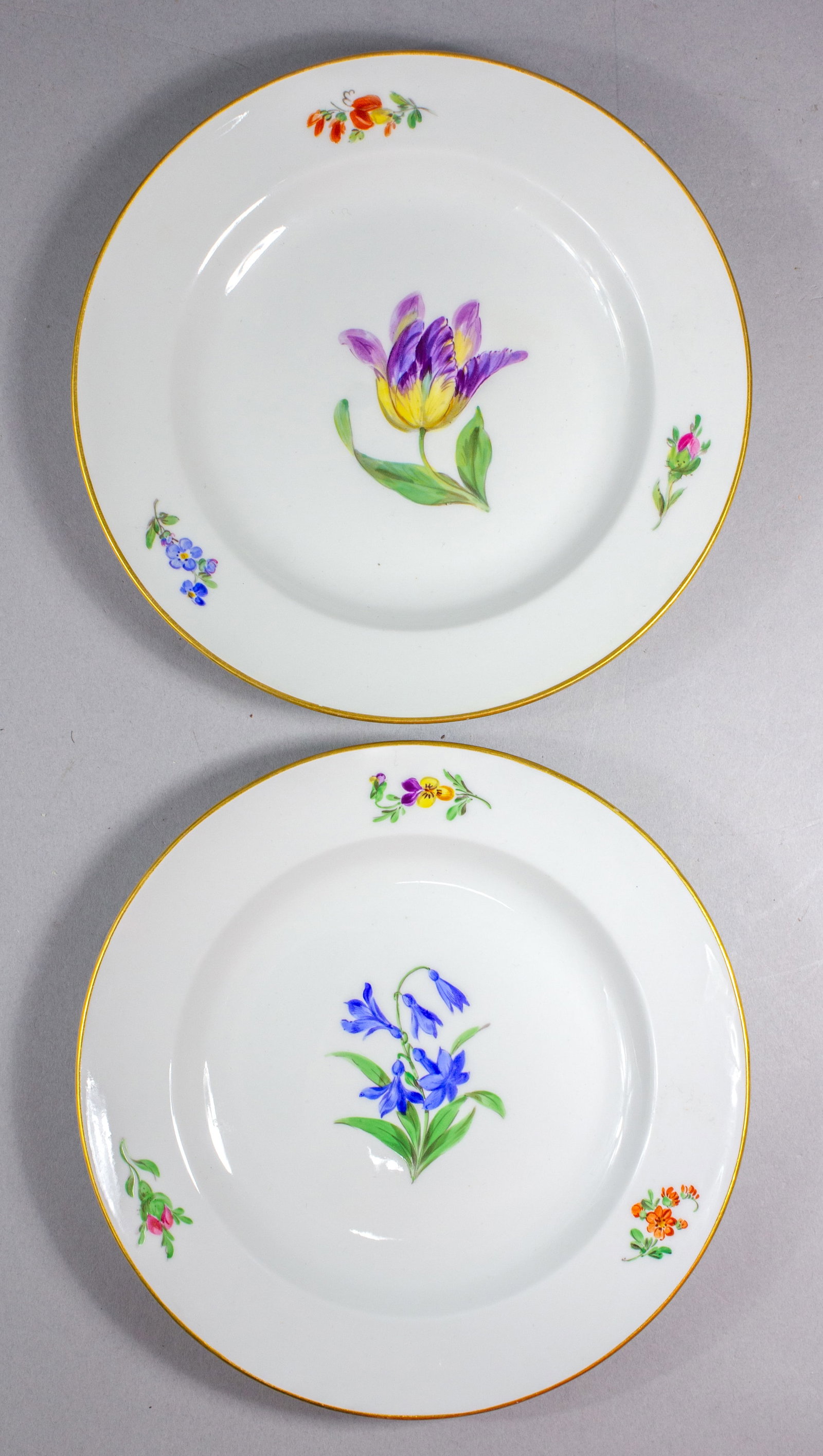 2 Meissen Polychrome Flower Dessert Plates: 2 Meissen Polychrome Flower Dessert Plates both painter with overglaze polychrome enamels of various blossoms including rose, tulip, sweet pea, pansy , forget me nots , etc. The base with crossed swor