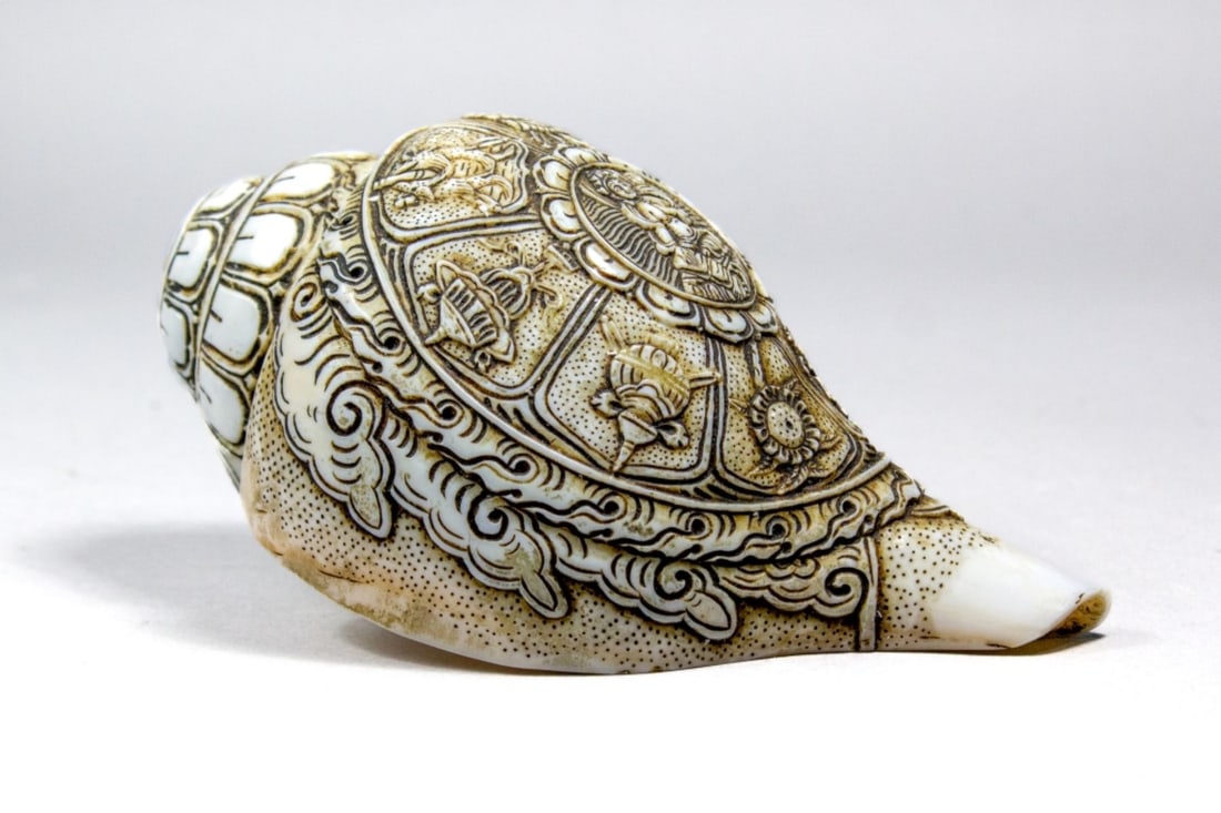 Tibetan Buddhist Carved Conch Shell Trumpet (1 of 6)