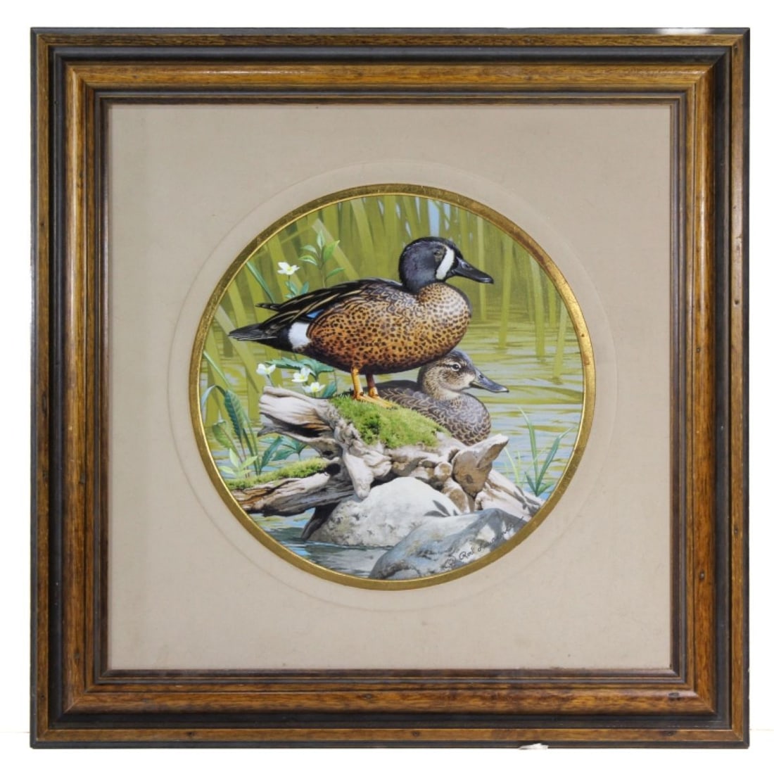 Rod Lawrence (MI) Blue Winged Teal Oil on Panel (1 of 6)