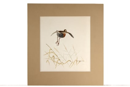 Robert Verity Clem  ( 1933-2010 Mass.) Bird WC