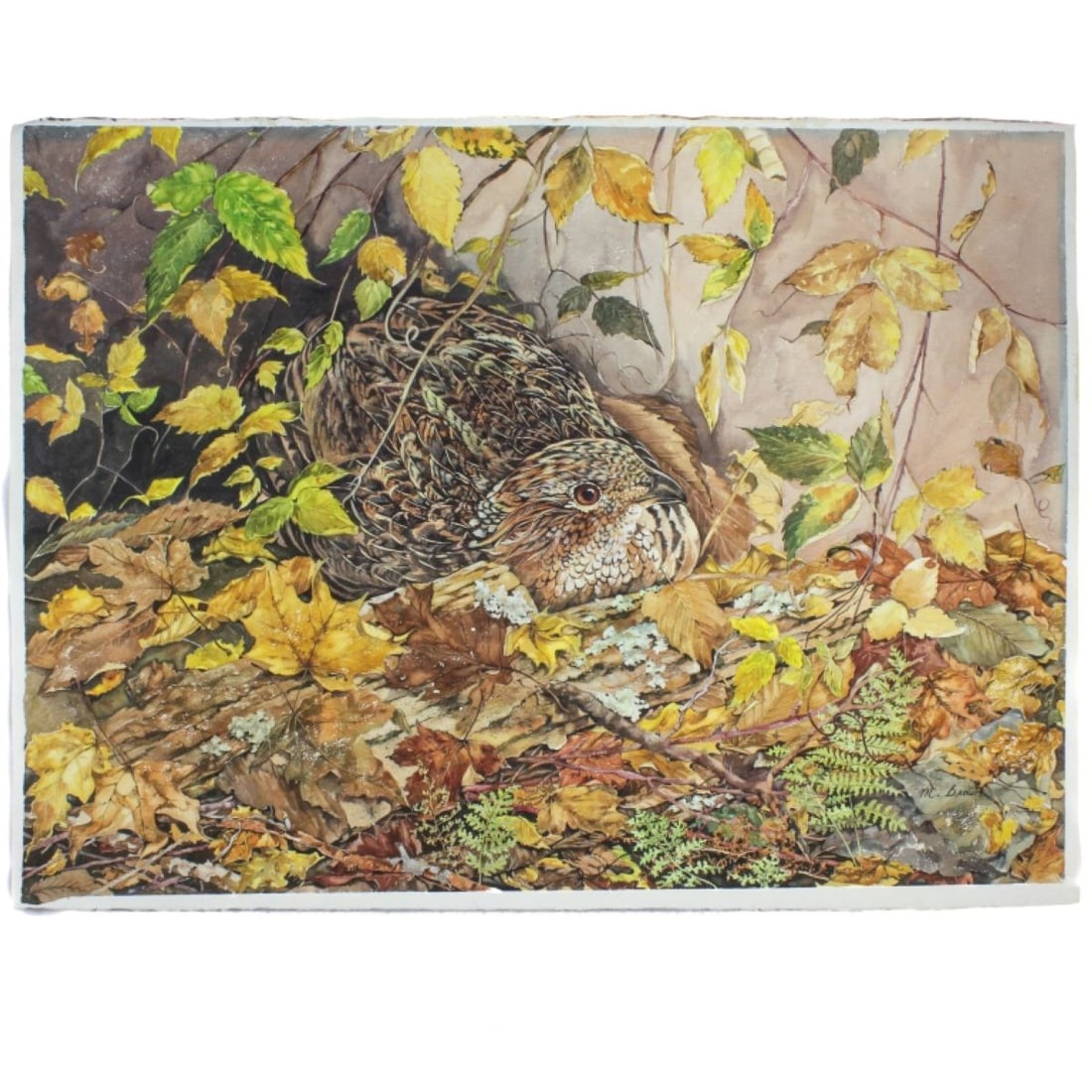 Mary Barret Brown (US) LG W/C Mother Grouse (1 of 6)