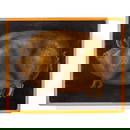 19th Century "Prized Pig" Folk Art Oil Painting