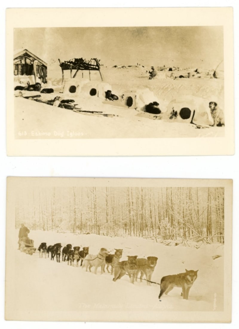 Antique Alaskan Sled Dog Real Photo Postcards (1 of 4)