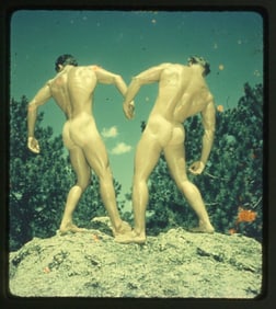 Western Photography Guild WPG 3D Stereo Slides