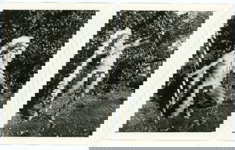 Bob Mizer AMG: Pencil written 2 and 3 to the backs. Good sharp images printed on gloss paper. 4" x 5".