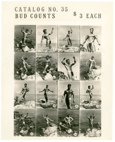 Dave Martin Catalog Sheet Photo / Bud Counts