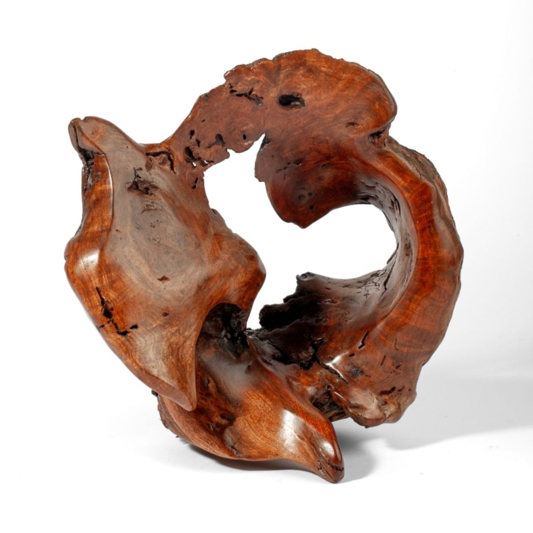 Modern Abstract Burlwood Sculpture