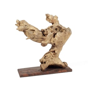Modern Abstract Wood Specimen Sculpture