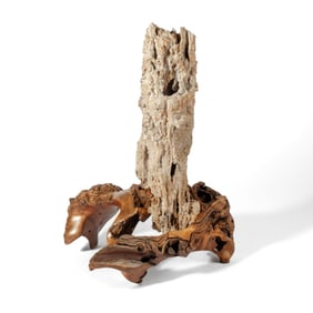 Abstract Burlwood & Petrified Wood Sculpture