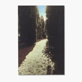 Jill Sabella "Arboretum Cedar Grove" Hand Colored Photograph, 1989