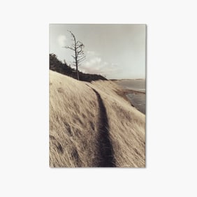 Jill Sabella "Ebey’s Landing" Hand Colored Photograph, 1989