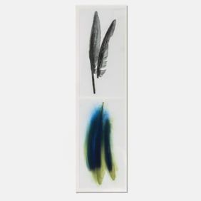 Sandy Gellis "The Bird Project: Great  Bird Series, Blue and Yellow Macaw" Soft Ground  Aquatint