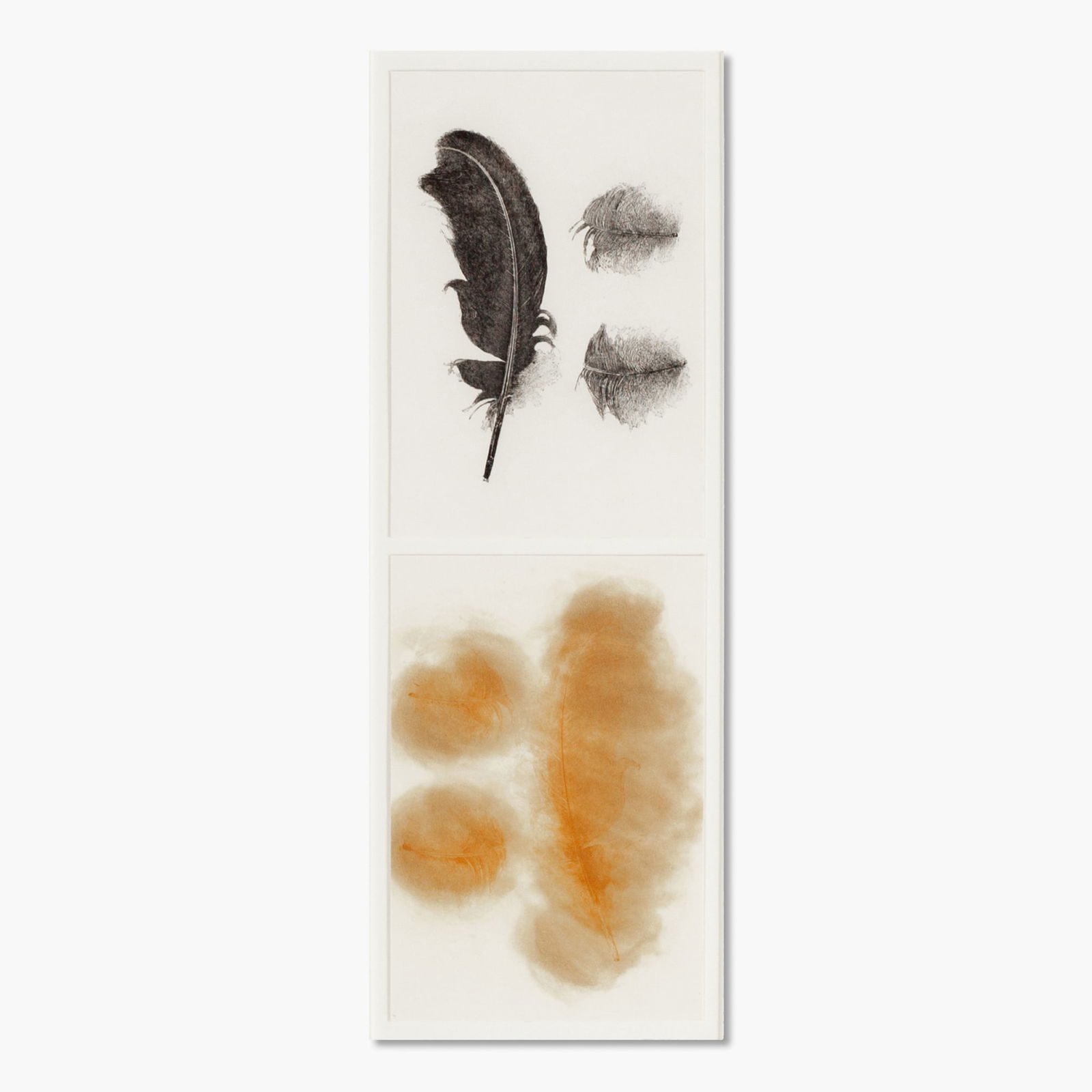 Sandy Gellis "The Bird Project: Plains  Series, Canada Goose" Soft Ground Aquatint  Etchings, 1997 (1 of 4)
