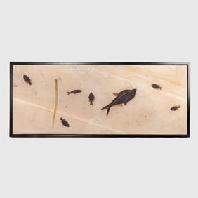 LARGE Green River Sandstone Fossil Fish Plaque