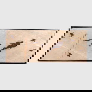 LARGE Green River Sandstone Fossil Fish Plaque: LARGE Green River Sandstone Fossil Fish Wall Plaque. From the Green River formation in Utah / Wyoming, Eocene Epoch, ca. 53.5 to 48.5 million years ago. Includes fossils of 7 fish with largest Diplomy