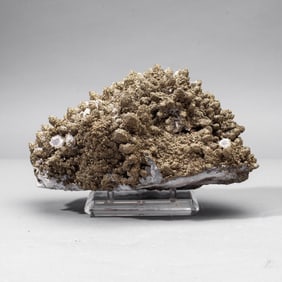Pyritized Quartz Specimen