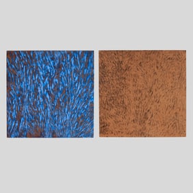 Paula Roland "Strange Attractor" Diptych
