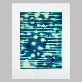 Ross Bleckner "Bonds & Proteins" Large Aquatint