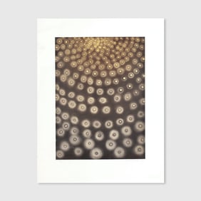 Ross Bleckner "Dome" Large Aquatint