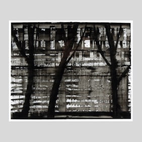 Canan Tolon "Untitled (96.11)" Oil on Mylar