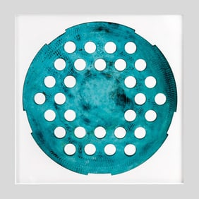 Dominique Pelletey "Tropisme No. 13" Photograph