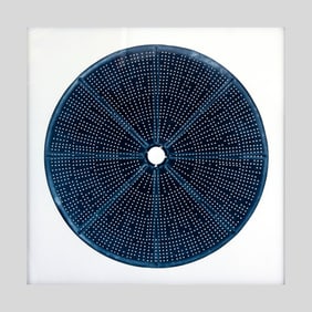 Dominique Pelletey "Tropisme No. 14" Photograph