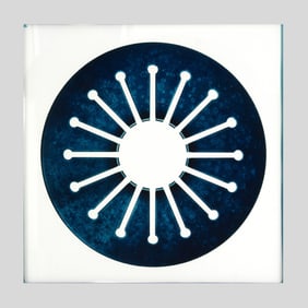 Dominique Pelletey "Tropisme No. 3" Photograph