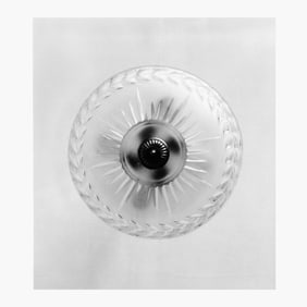 Gay Outlaw "Light Fixture (Jellyfish)" Photograph