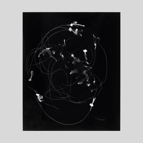 Alyson Shotz "Fly Tracks Eleven" Photogram