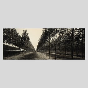 Dick Arentz "Ravenna I, Italy" Palladium Print
