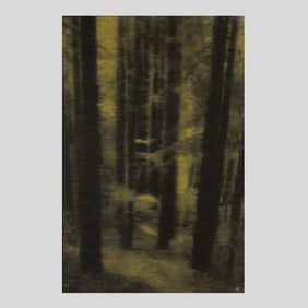 Seyed Alavi "Sanctuary" Aquamano Print