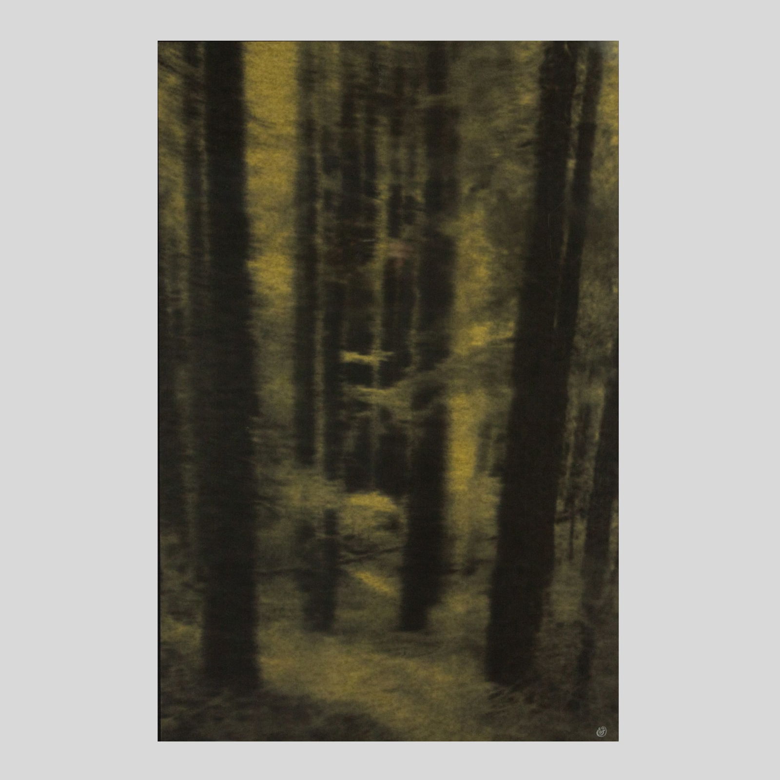 Seyed Alavi "Sanctuary" Aquamano Print: Seyed Alavi (California) "Sanctuary" Aquamano Print on Rice Paper, 1999. Artist's mark at lower right. Aquamano, derived from the Italian words for water and hand, is a printing process that utilizes