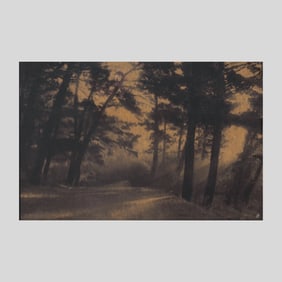 Seyed Alavi "Tule Fog" Aquamano Print