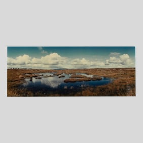 Macduff Everton "Pond, Ireland" Photograph