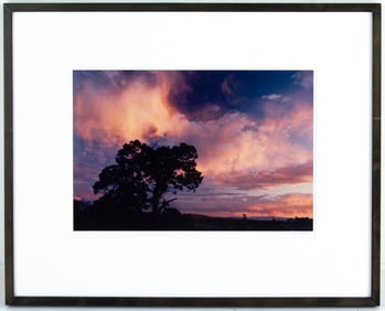 JD Marston "Purple Sky, San Luis Valley, CO"
